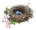 Bird's Nest with eggs.