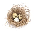 Bird's nest and eggs isolated on white.