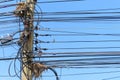 Bird`s nest on electric cable