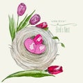 Bird\'s nest with flowers watercolor illustration. Vector. Tulips with a nest of branches. Spring illustration Royalty Free Stock Photo