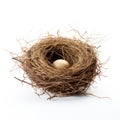 Bird's Nest With Single Egg On Isolated Background. Nature And Wildlife Royalty Free Stock Photo