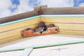 Swallows Grow Chicks In Nests Under The Roof Of A Village House Royalty Free Stock Photo