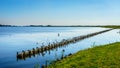 The bird sanctuary of Veluwemeer with reed along the shore Royalty Free Stock Photo