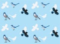 Bird Scrub Jay Cute Cartoon Seamless Wallpaper Background Royalty Free Stock Photo