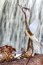 Bird Sculpture Against Waterfall Royalty Free Stock Photo