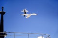 Bird seagull flying in the sky over the sea Royalty Free Stock Photo