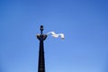 Bird seagull flying in the sky over the sea Royalty Free Stock Photo