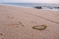 Bird / Seagull footprints in the sand on beach with seaweed Royalty Free Stock Photo