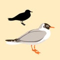 Bird seagull vector black silhouette style Flat