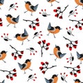 Bird Seamless Pattern. Bullfinch birds on a modern teal background with red berries of rowan and brier. Winter/Merry Christmas Royalty Free Stock Photo