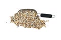 Bird seed Royalty Free Stock Photo