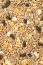 Bird seed mix Royalty Free Stock Photo