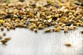 Bird seed mix, differential focus Royalty Free Stock Photo