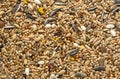 Bird seed for parrots Royalty Free Stock Photo