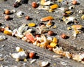 Bird seed scattered on wood Royalty Free Stock Photo