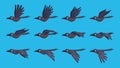 Bird sequence. Crow flying keyframe animation exact vector game assets collection templates