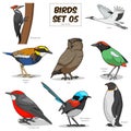 Bird set cartoon colorful vector illustration Royalty Free Stock Photo