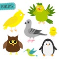 Bird set.