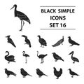 Bird set icons in black style. Big collection of bird vector symbol stock illustration Royalty Free Stock Photo