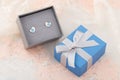 Bird shape with blue heart earring studs in gift box on lace background