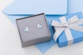 Bird shape with blue heart earring studs in gray gift box on envelope background