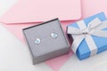 Bird shape with blue heart earring studs in gray gift box on pin Royalty Free Stock Photo