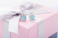 Bird shape with blue heart earring studs pink gift box with bow Royalty Free Stock Photo