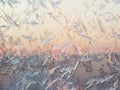 Bird shape frost ice crystals formations on a window glass. Frostwork pattern on morning light pink sunny sky background Royalty Free Stock Photo