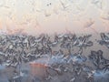 Bird shape frost ice crystals formations on a window glass. Frostwork pattern on morning light pink sunny sky background