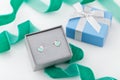 Bird shape with mint heart earring studs in gray gift box on white background