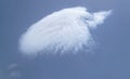 Bird-shaped Cloud Formation in a Dark Blue Sky Royalty Free Stock Photo