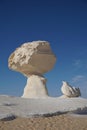 Bird shaped rock formation in the white desert Royalty Free Stock Photo