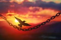 Silhouette of a bird flying towards the sun breaking from a chain at sunset Royalty Free Stock Photo