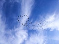 Bird silhouette heart in the painted blue mountain sky