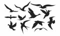 Bird silhouette icon symbol illustration vector set bundle asset template shadow, black, pultry, fly bird editable Royalty Free Stock Photo