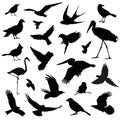 Bird Silhouette Illustration Set