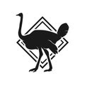 bird silhouette ostrich