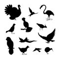 Bird silhouette set