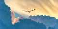Bird Flying Sunset Clouds Inspiration Hope Banner Royalty Free Stock Photo