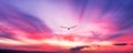 Bird Flying Sunset Inspiration Hope Banner Royalty Free Stock Photo