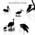 Bird silhouettes