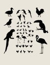 Bird Silhouettes Collection Royalty Free Stock Photo