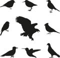 Bird Silhouettes editable vector set Royalty Free Stock Photo
