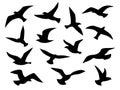 Bird silhouettes. Flying birds flock, black drawing flight raven tattoo template, monochrome animal wild life migration Royalty Free Stock Photo