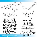 Bird silhouettes set Royalty Free Stock Photo