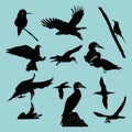 Bird silhouettes vector artwork 01 Royalty Free Stock Photo