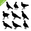 Bird silhouettes vector Royalty Free Stock Photo