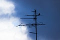 Bird sit on an antenne Royalty Free Stock Photo