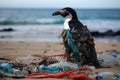 A bird sits atop a mound of garbage, underscoring the detrimental effects of pollution on animals., Penguin on the beach with Royalty Free Stock Photo