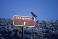 A bird sitting on a campground sign Royalty Free Stock Photo